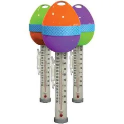 Thermomètre œuf Couleur KOKIDO - KOK-400-8626